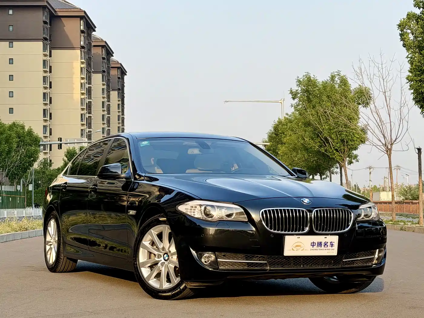 BMW 5 Series 2013 530Li Leadership фото 3