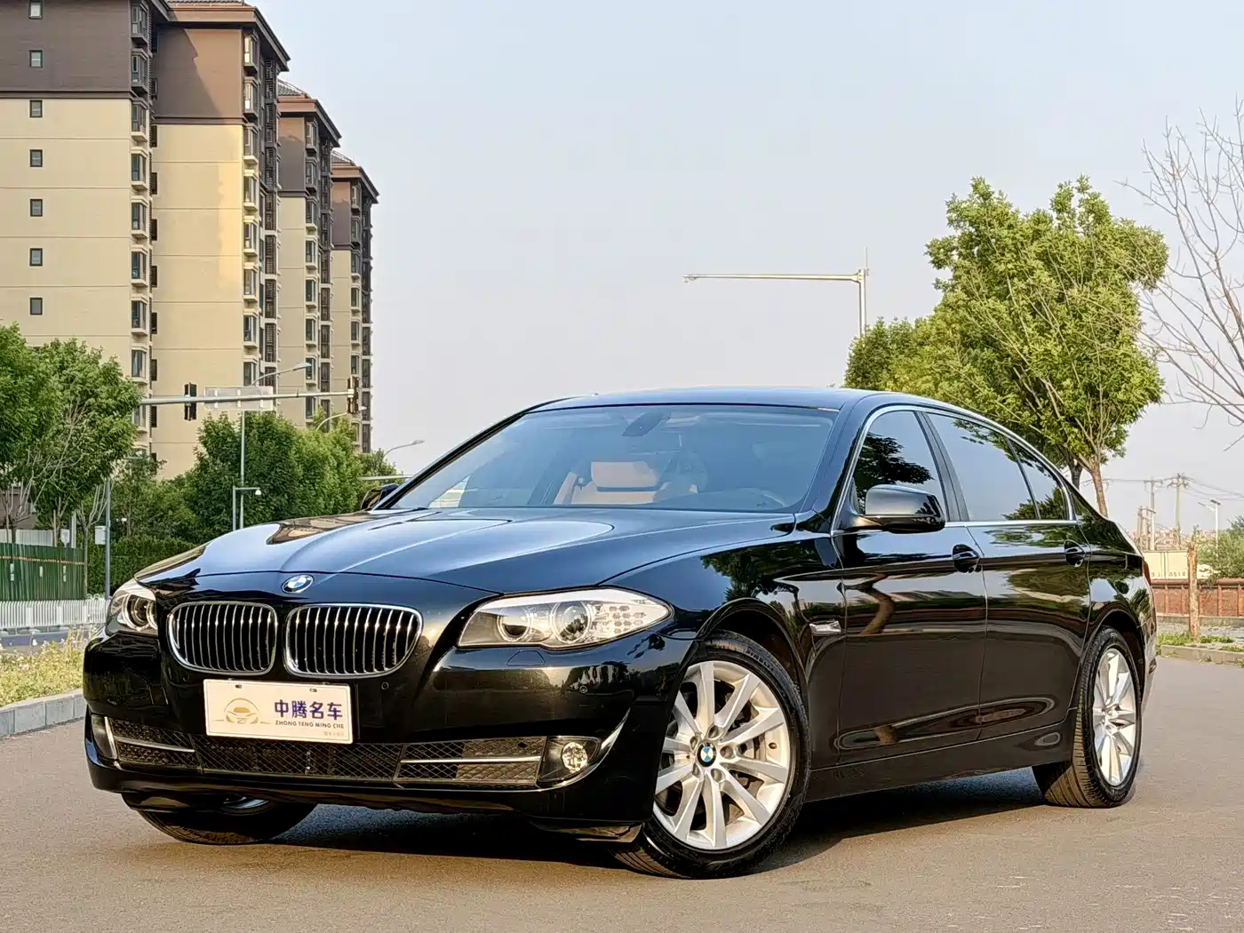 BMW 5 Series 2013 530Li Leadership