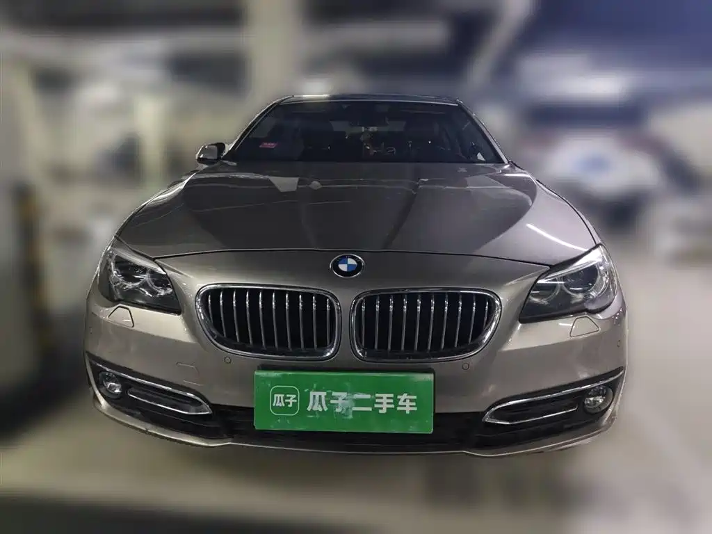 BMW 5 Series 2014 525Li Luxury Design Package фото 24