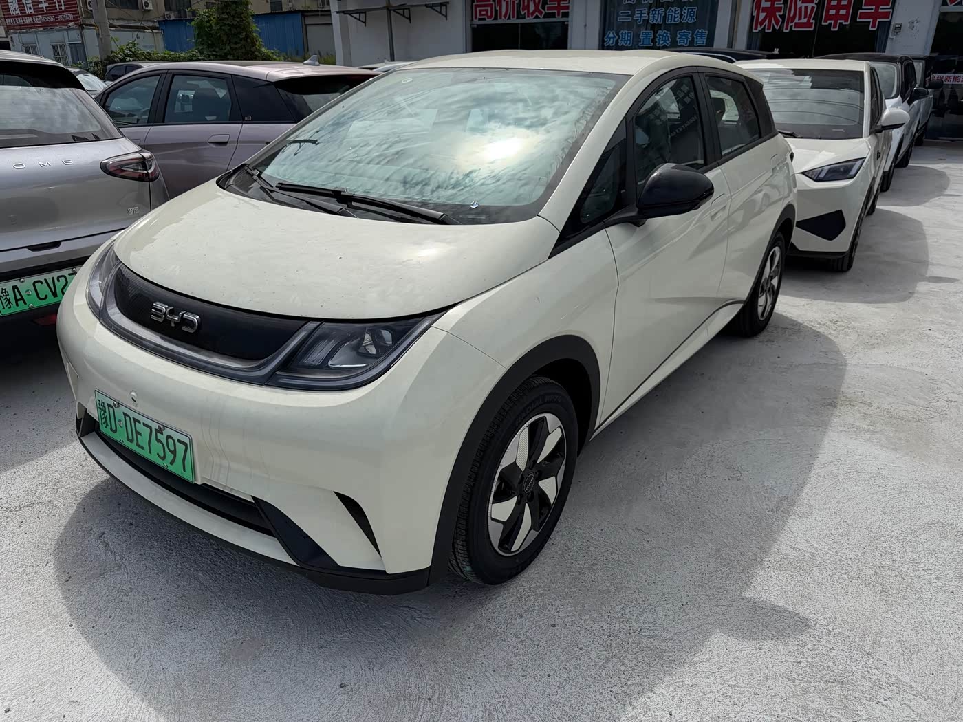 BYD Dolphin