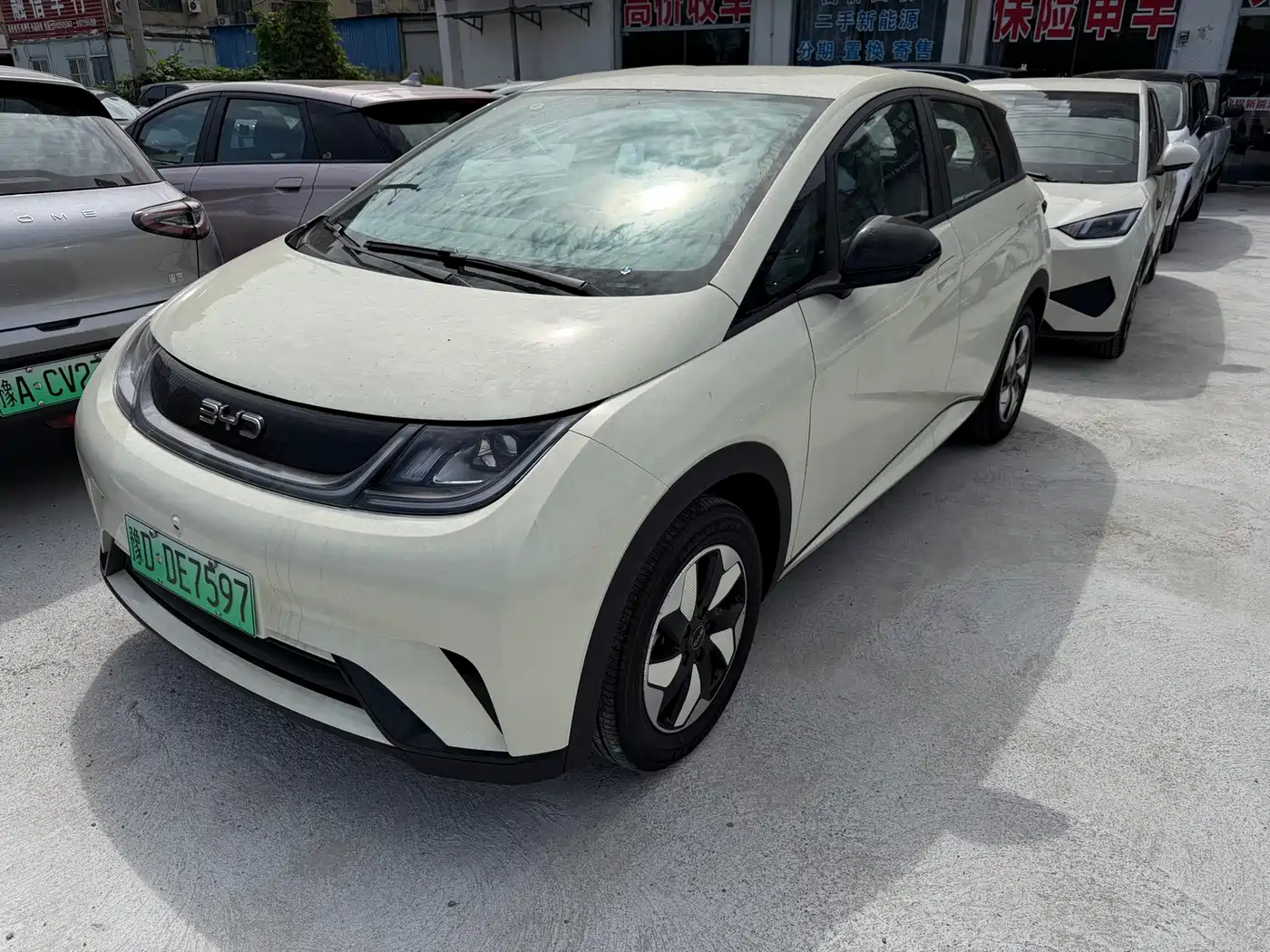 2026 BYD Dolphin