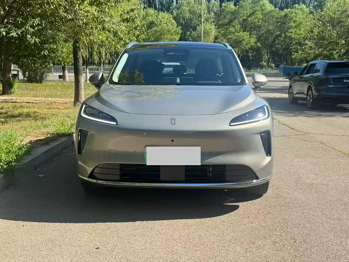 Shangjie SUV 2025 2025 Model Extended Range Pro