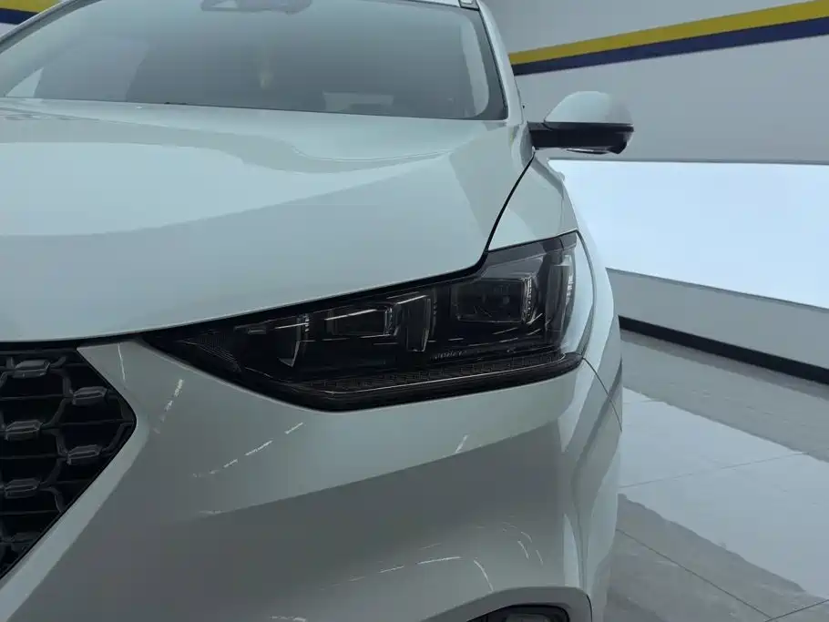 WEY VV6 2019 2020 2.0T 2WD Smart Enjoy+