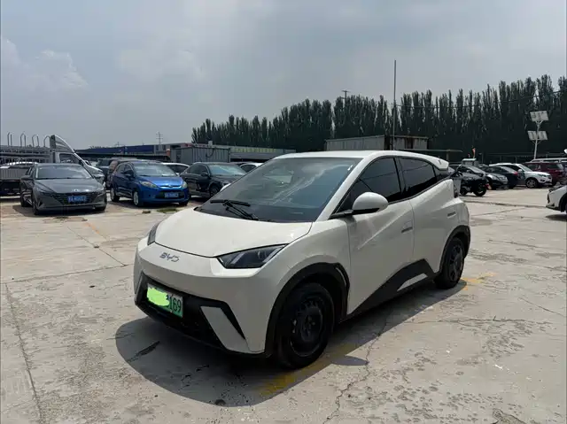 BYD Seagull 2024