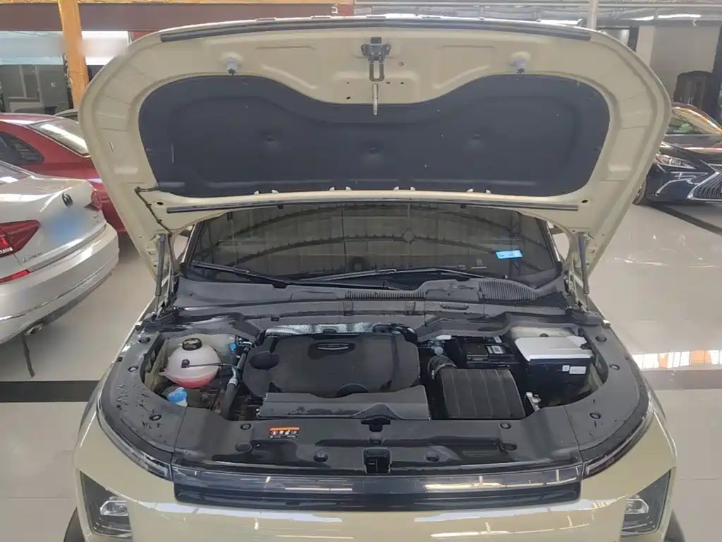 Geely Cowboy 2024 2025 1.5TD Adventure Edition