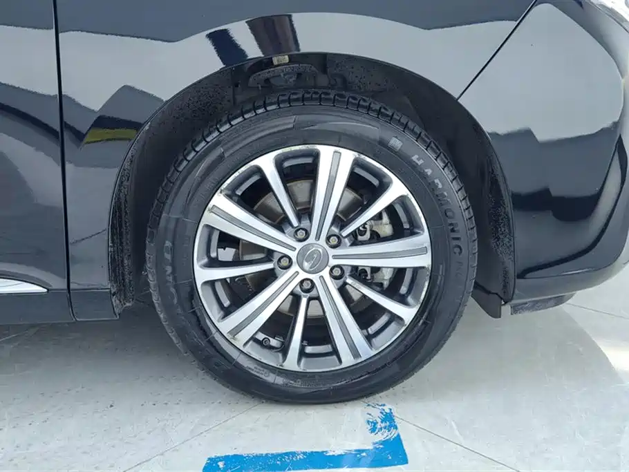 GAC Trumpchi Trumpchi M8 2019 320T Ultimate Edition фото 6