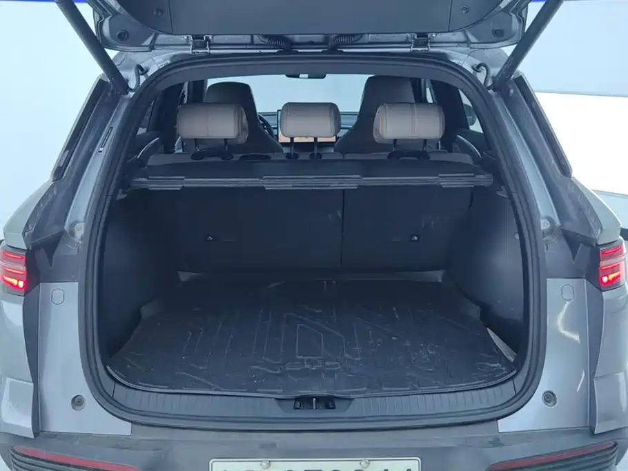 BYD Song Pro New Energy 2024 Glory Edition DM-i 110KM Excellence фото 4