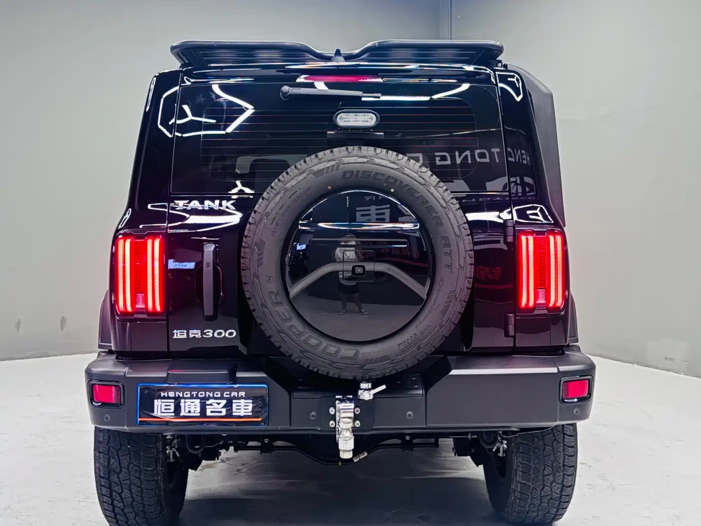 Tank 300 2021 2021 Off-road Version 2.0T Conqueror