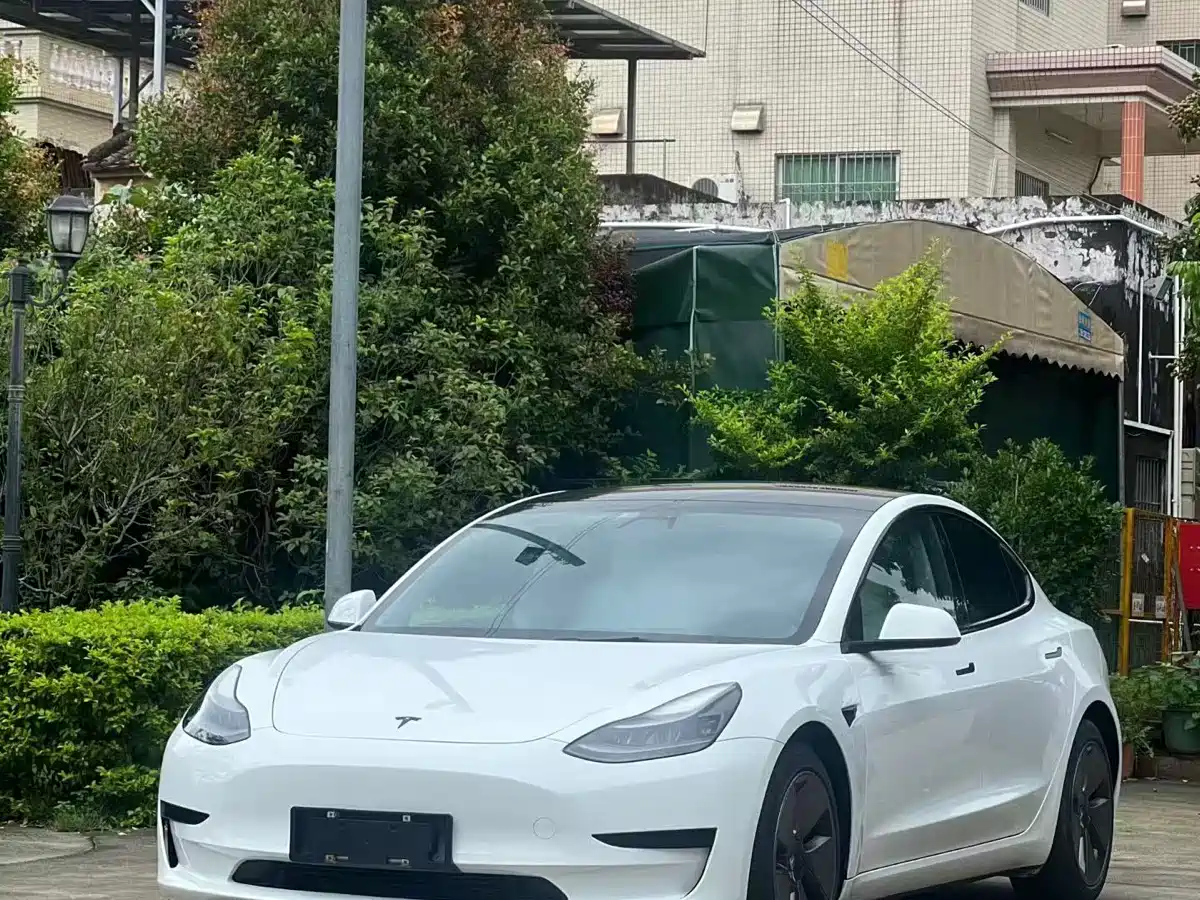 Tesla Model 3 2021 Standard Range Rear-Wheel Drive Upgrade 3D6