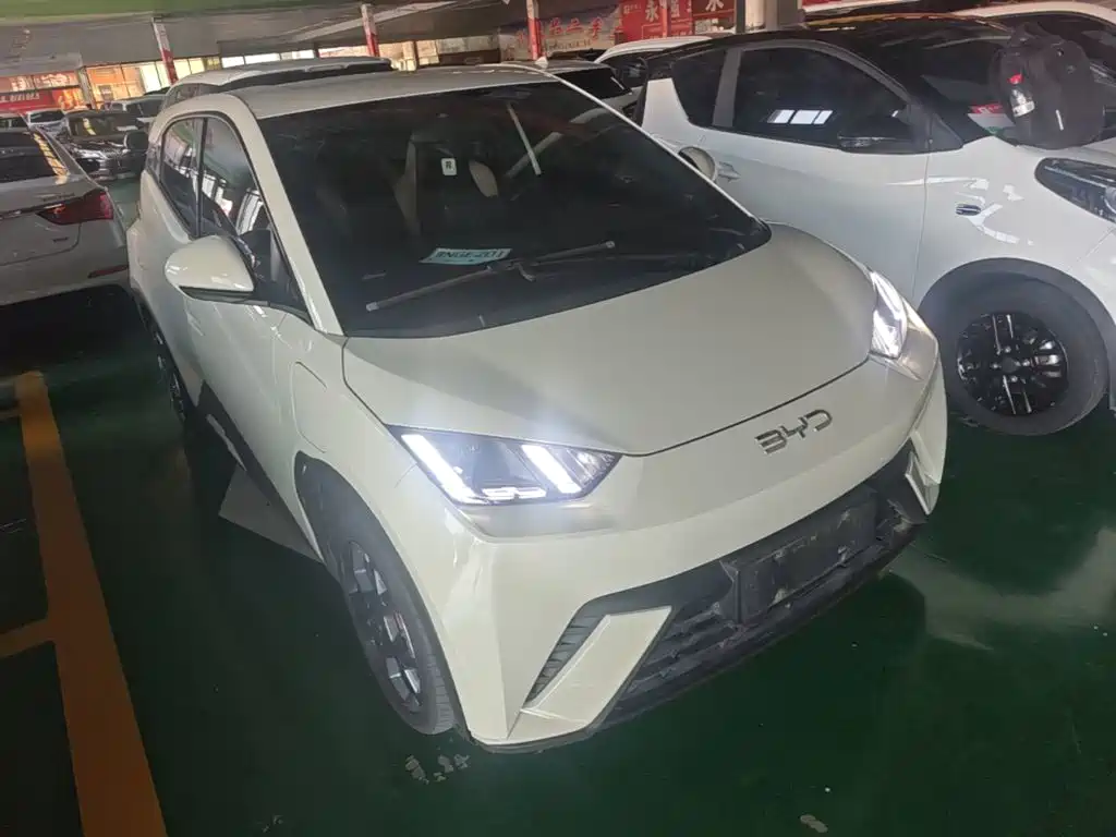 Фото 4 - BYD Seagull
