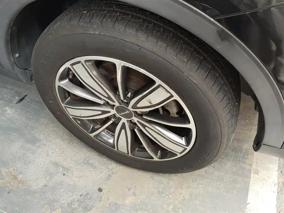 Haval H6 2020 1.5GDIT Automatic Platinum Champion Edition фото 6
