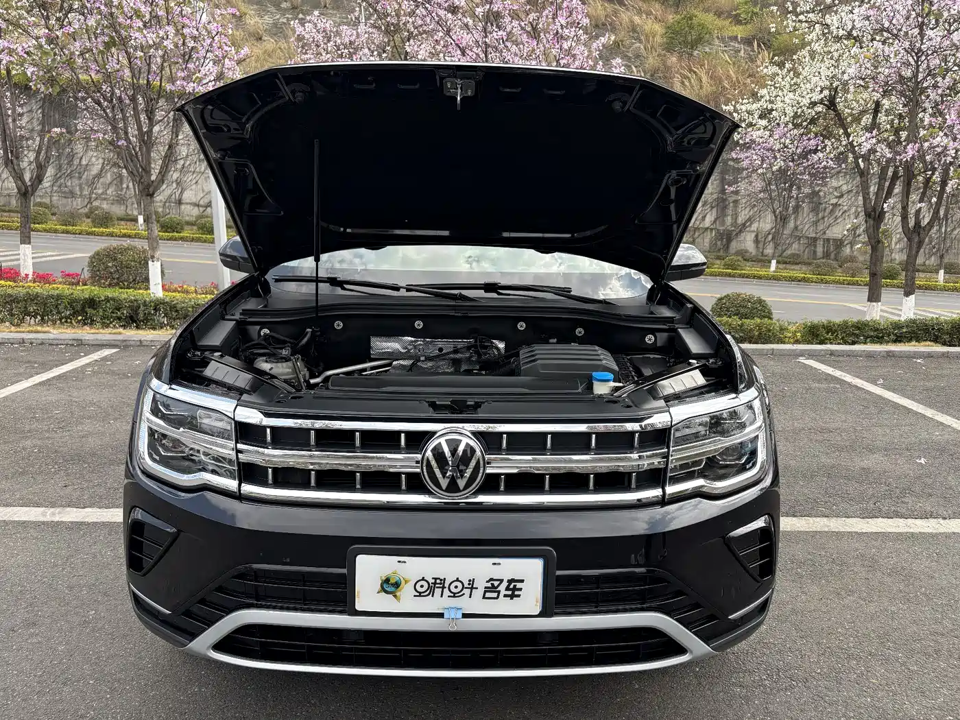 Volkswagen Teramont 2021 330TSI 2WD Premium Luxury Edition фото 14