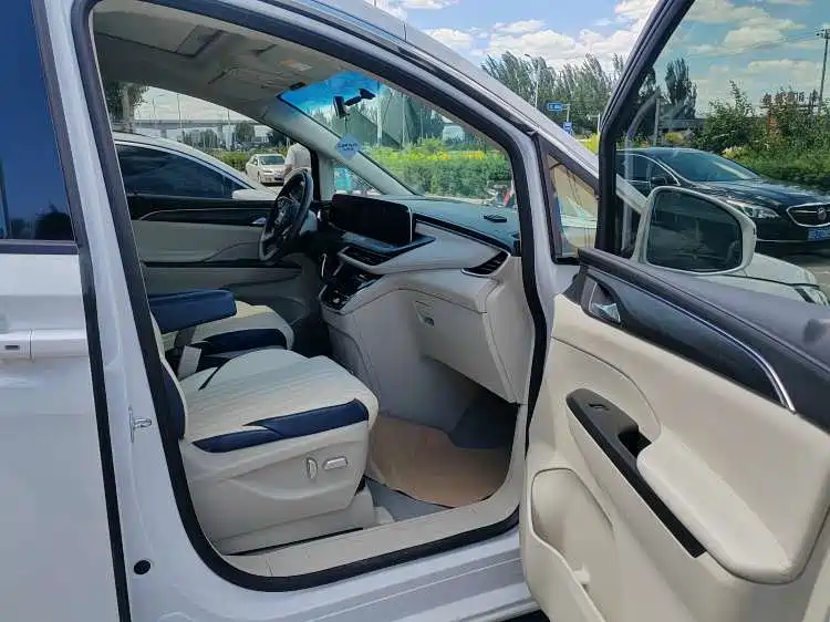 Buick GL8 2023 ES Landmaster Comfort фото 2