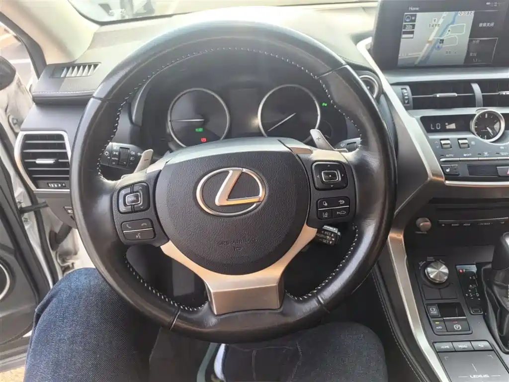 Lexus NX 2018 Model 300h FWD Fengshang Edition China V фото 11