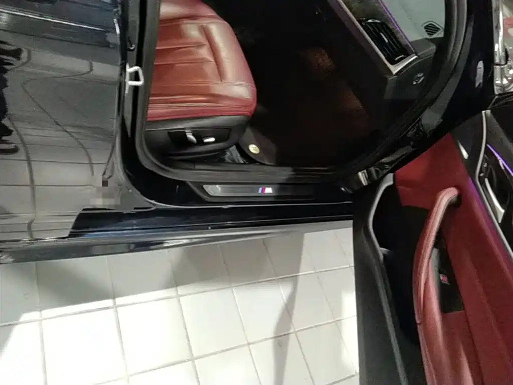 BMW 5 Series 2019 530Li Leading M Sport Package фото 23
