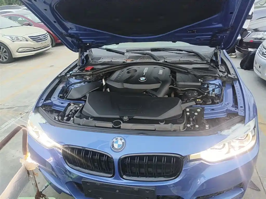 BMW 3 Series 2019 320Li M Sport Package фото 20