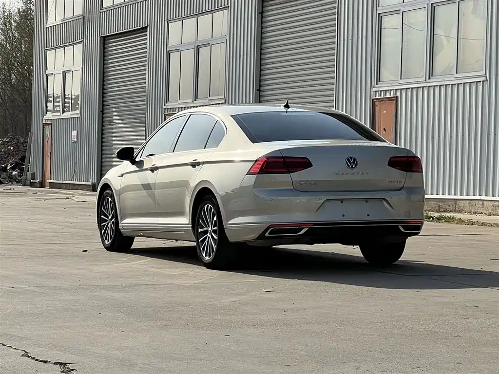Volkswagen Magotan 2020 330TSI DSG Luxury фото 6