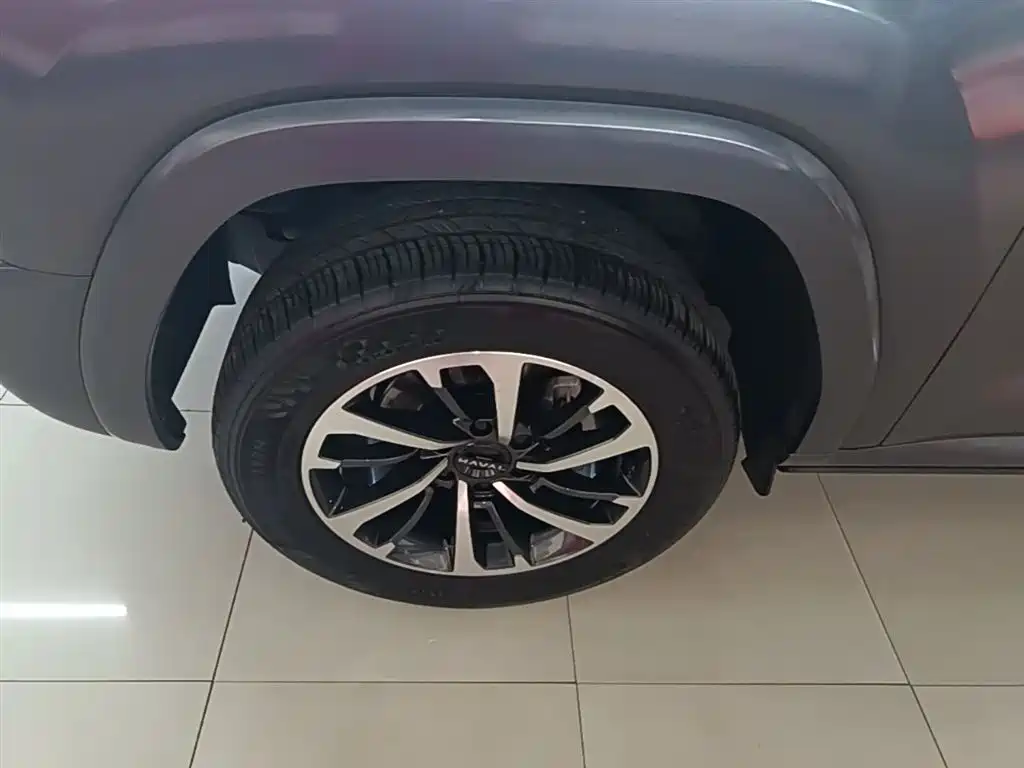 Haval H9 2024 2.0T Gasoline AWD Extreme Edition фото 23