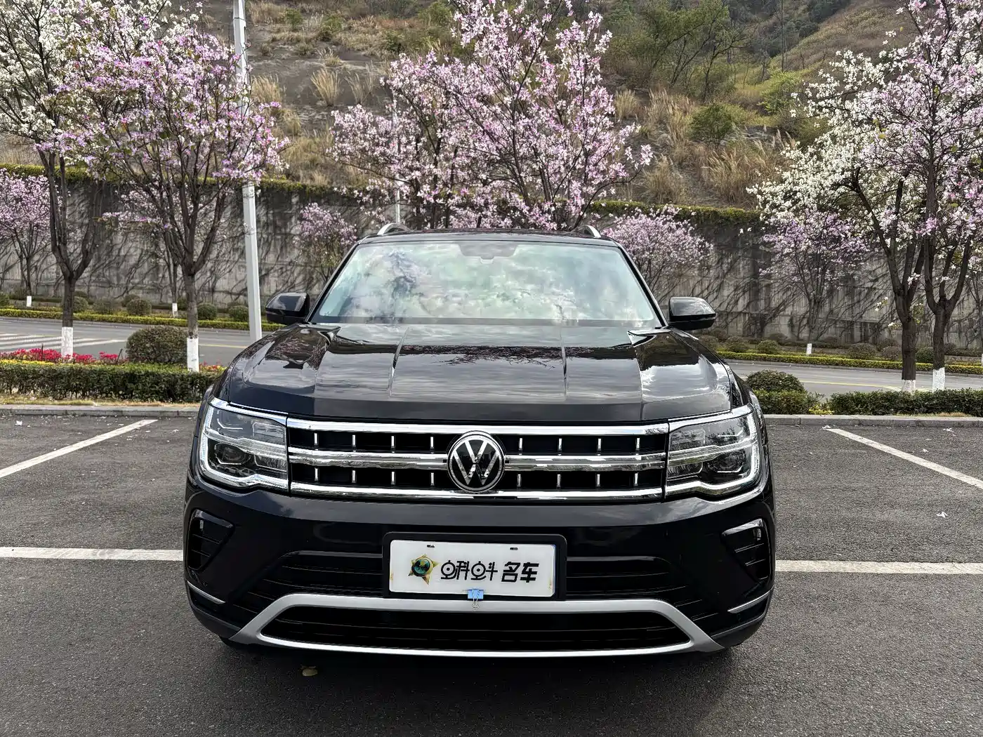 Volkswagen Teramont 2021 330TSI 2WD Premium Luxury Edition фото 2