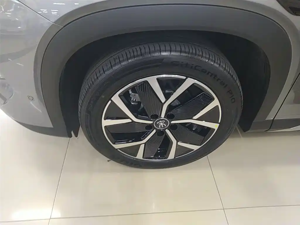 BYD Song L DM-i 2025 Smart Drive 160km Premium фото 23