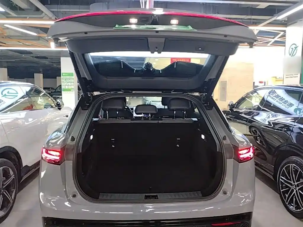 Voyah Auto Voyah Zhiyin 2024 Long Range Super Charging Edition фото 19