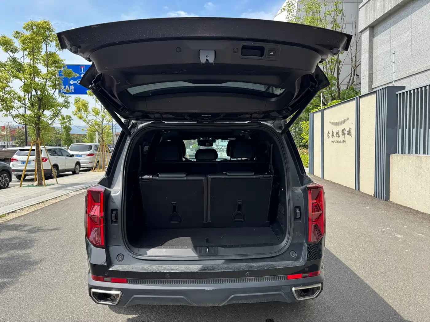 GAC Trumpchi Trumpchi GS8 2022 Pilot Series 2.0TGDI 2WD Luxury Smart Connect Edition (7-Seater) фото 19