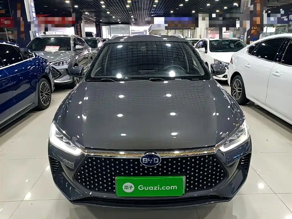 BYD e2 2019 Long Range Yao·Luxury Model фото 3