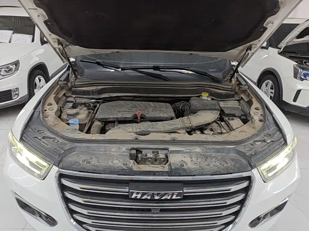 Фото 20 - Haval H6