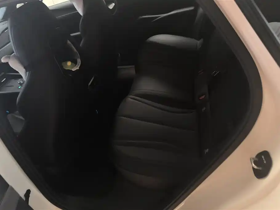 BYD Seal 06 New Energy 2024 DM-i 80KM Prestige фото 11