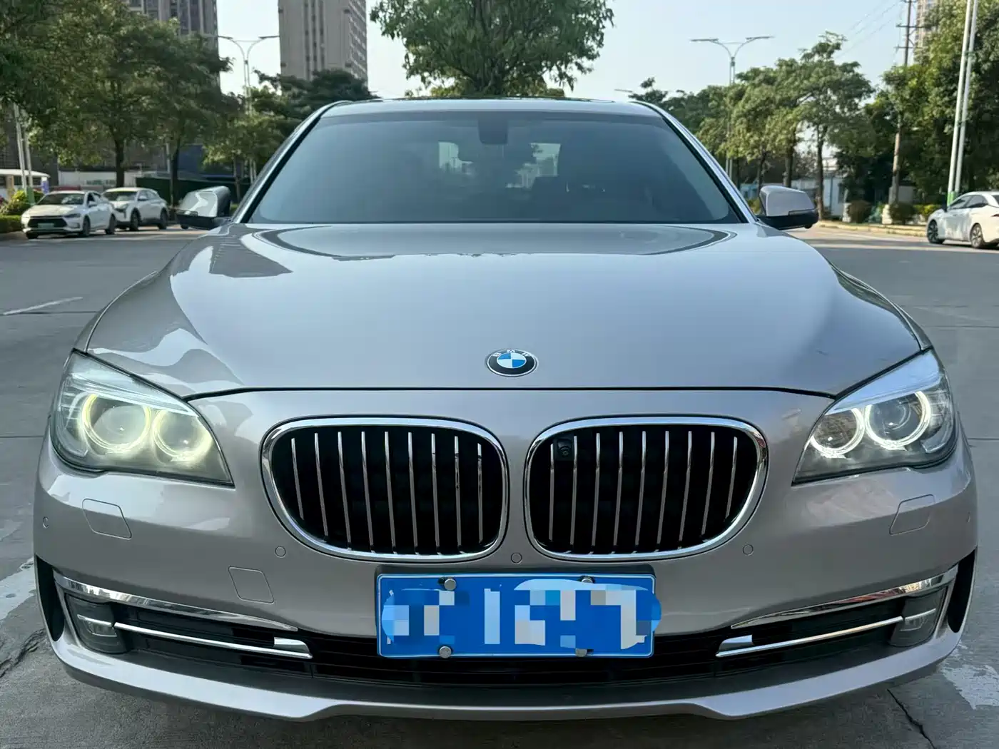 BMW 7 Series 2013 Model 730Li Leading фото 2