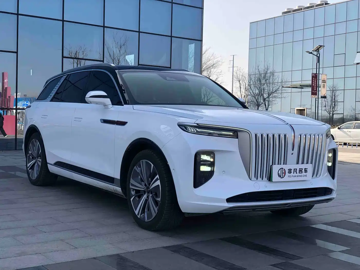 Hongqi E-HS9 2022 660km Qi Chang Edition (6-seater) фото 2