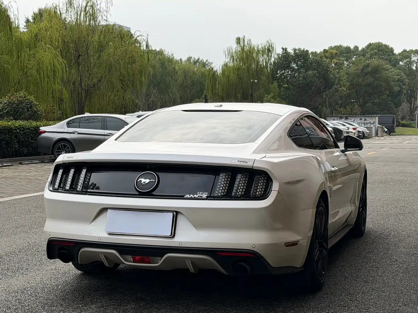 Ford Mustang 2017 2.3T Performance Edition фото 14