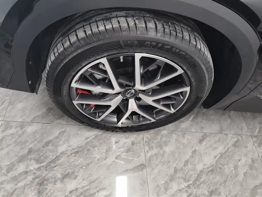 GAC Trumpchi Trumpchi GS8 2022 Pilot Series 2.0TGDI 2WD Luxury Smart Connect Edition (7-Seater) фото 25