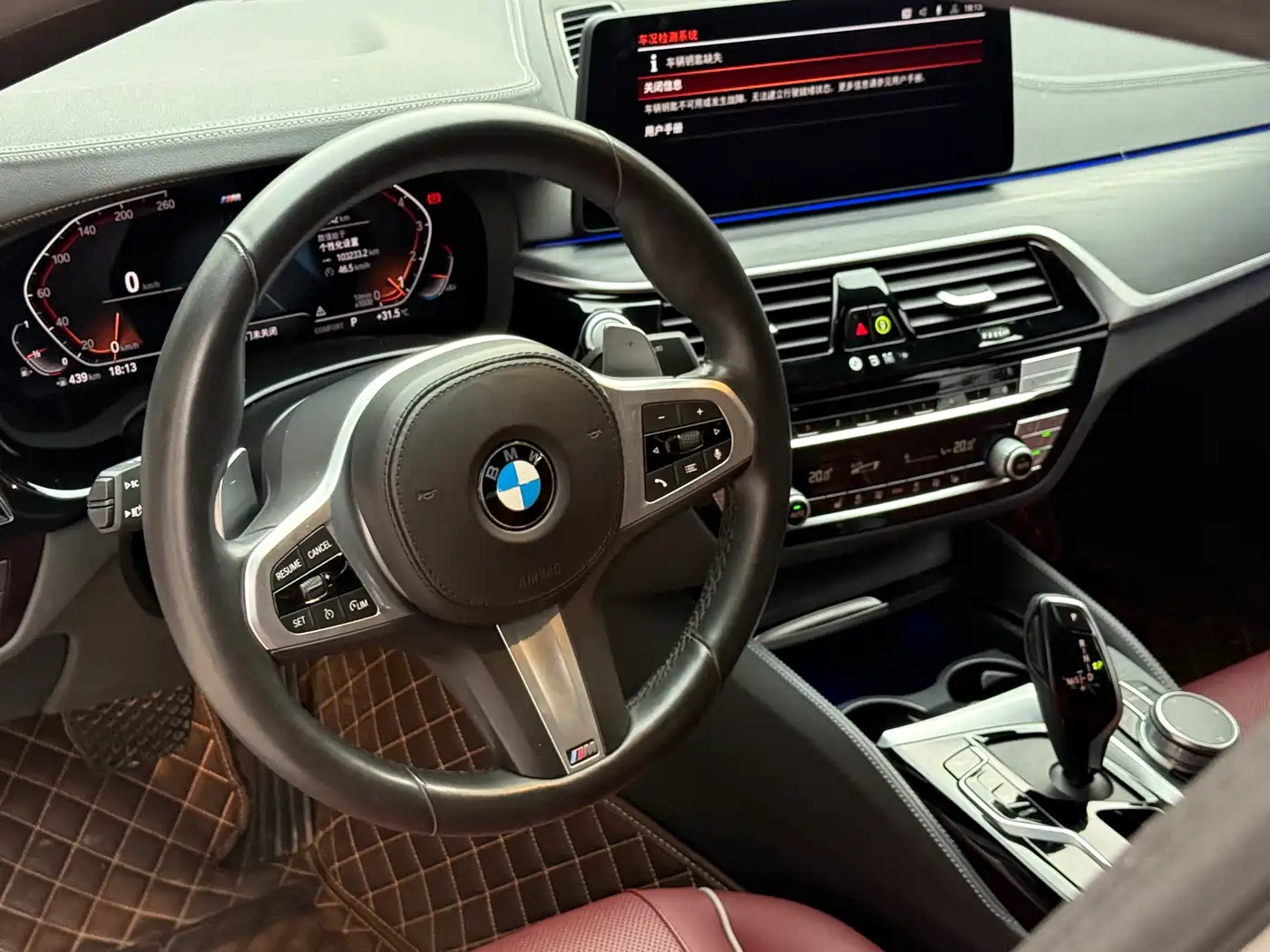 BMW 5 Series 2021 530Li Leading M Sport Package фото 9