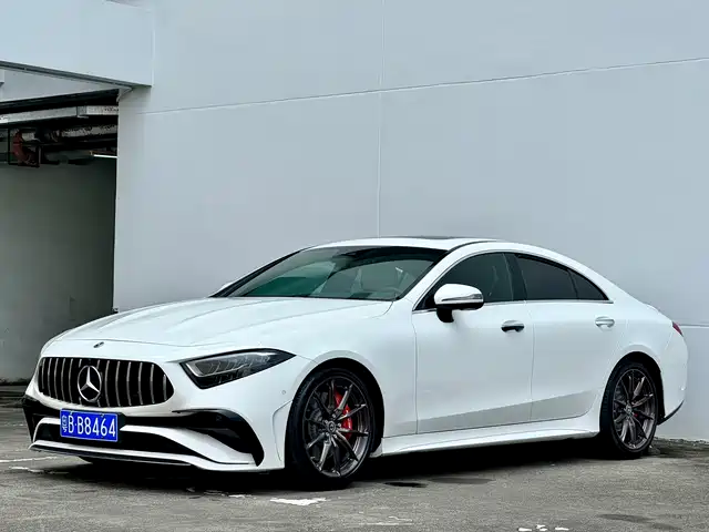 Mercedes-Benz CLS CLS 300, Люкс