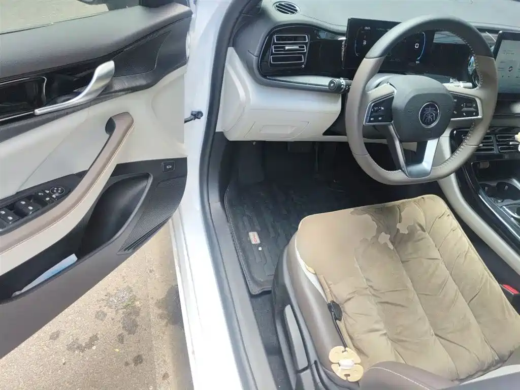 BYD Qin PLUS 2024 Glory Edition DM-i 55KM Leading фото 13