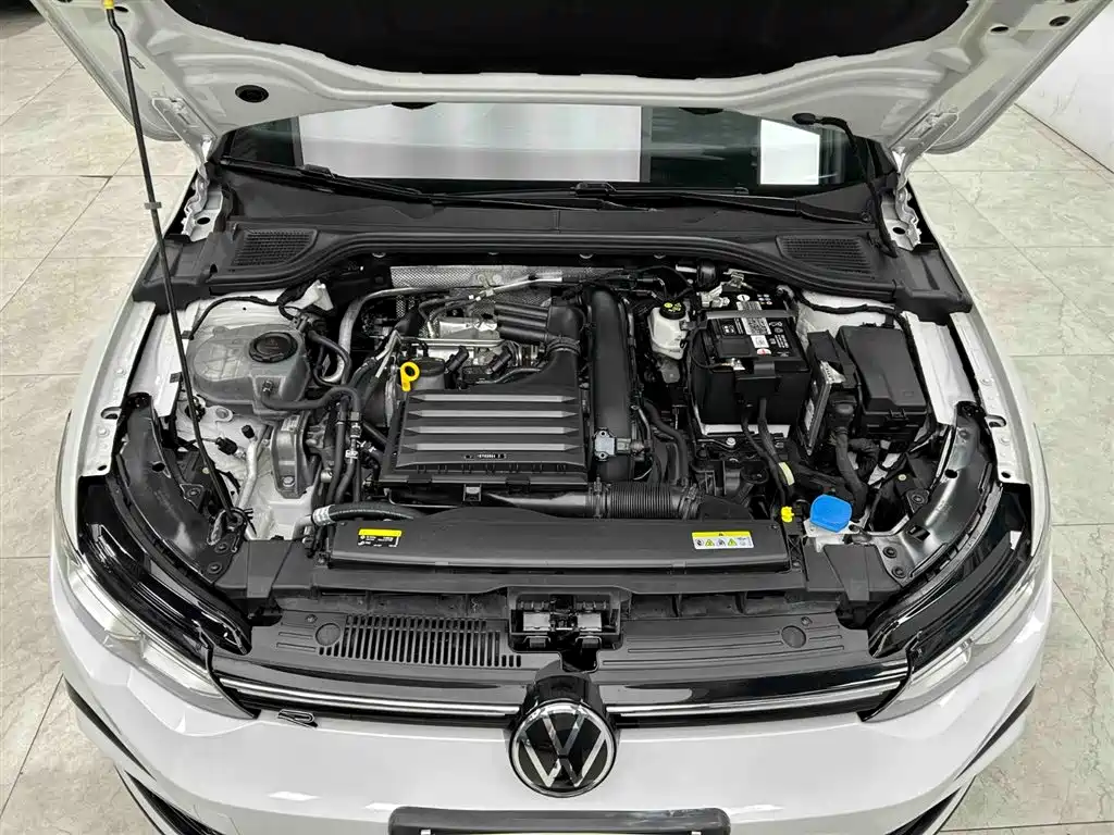 Volkswagen Golf 2021 280TSI DSG R-Line фото 20