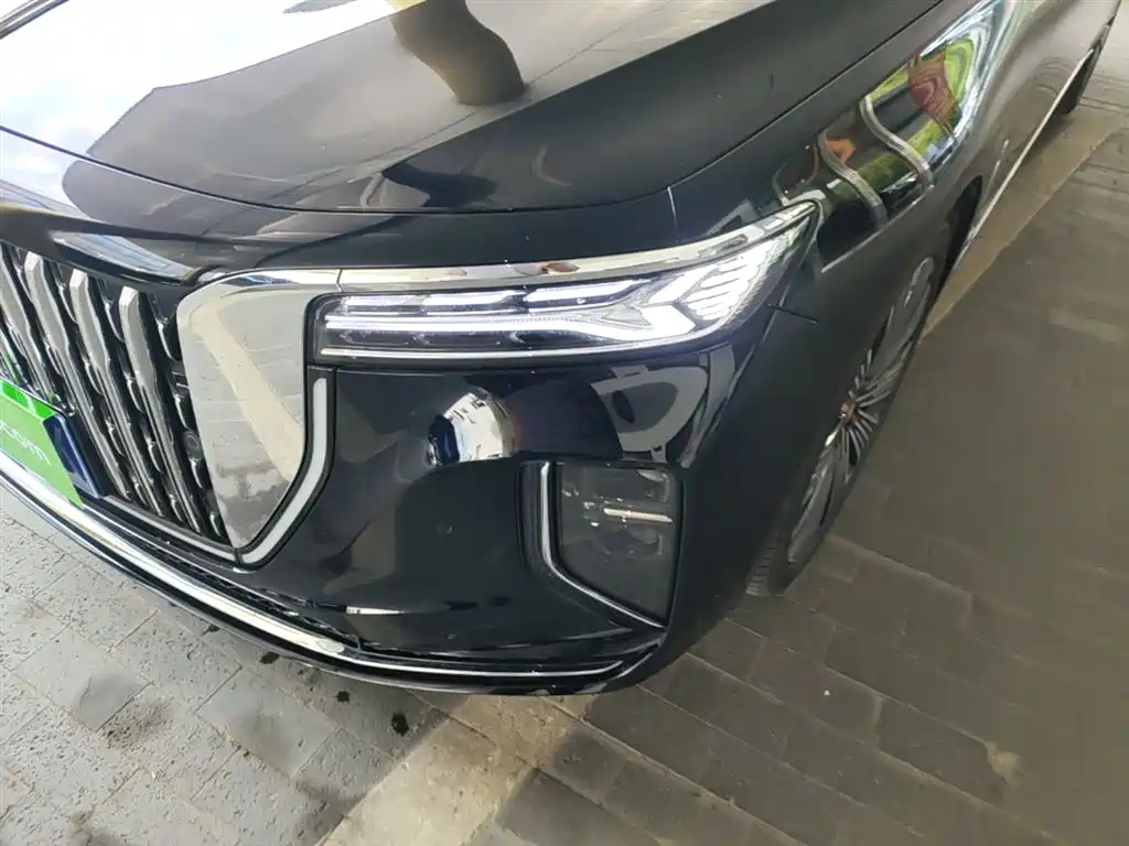 Hongqi H9 2025 Facelift 2.0T 2WD Flagship Luxury Business Edition 5-seater фото 24