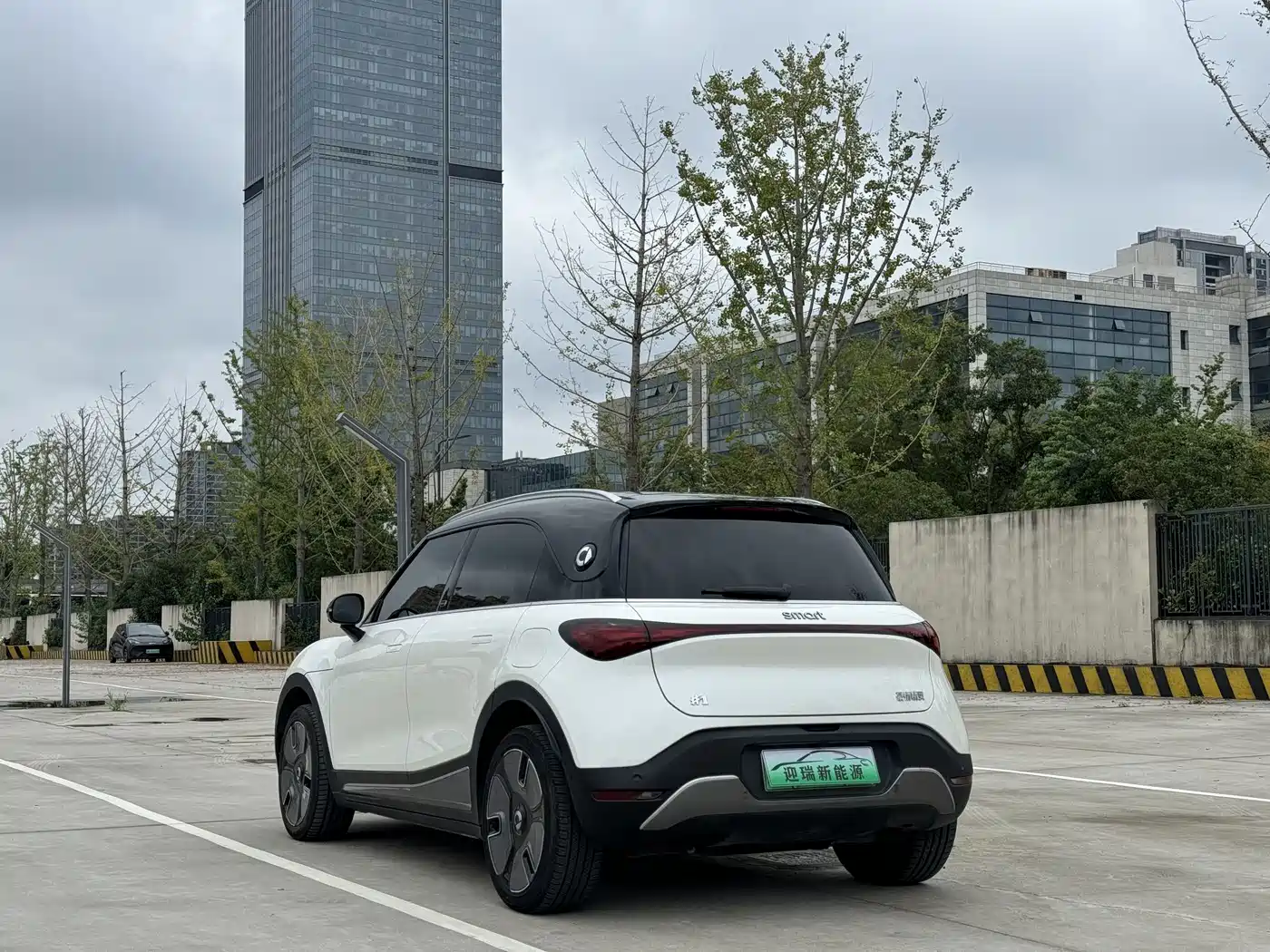 smart Elf #1 2023 2022 Premium Edition