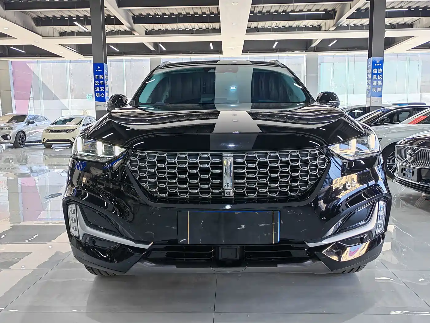 WEI PAI WEI BRAND VV6