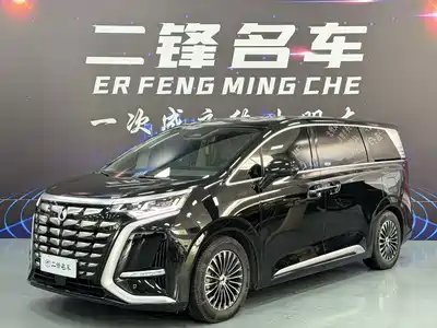 Denza D9