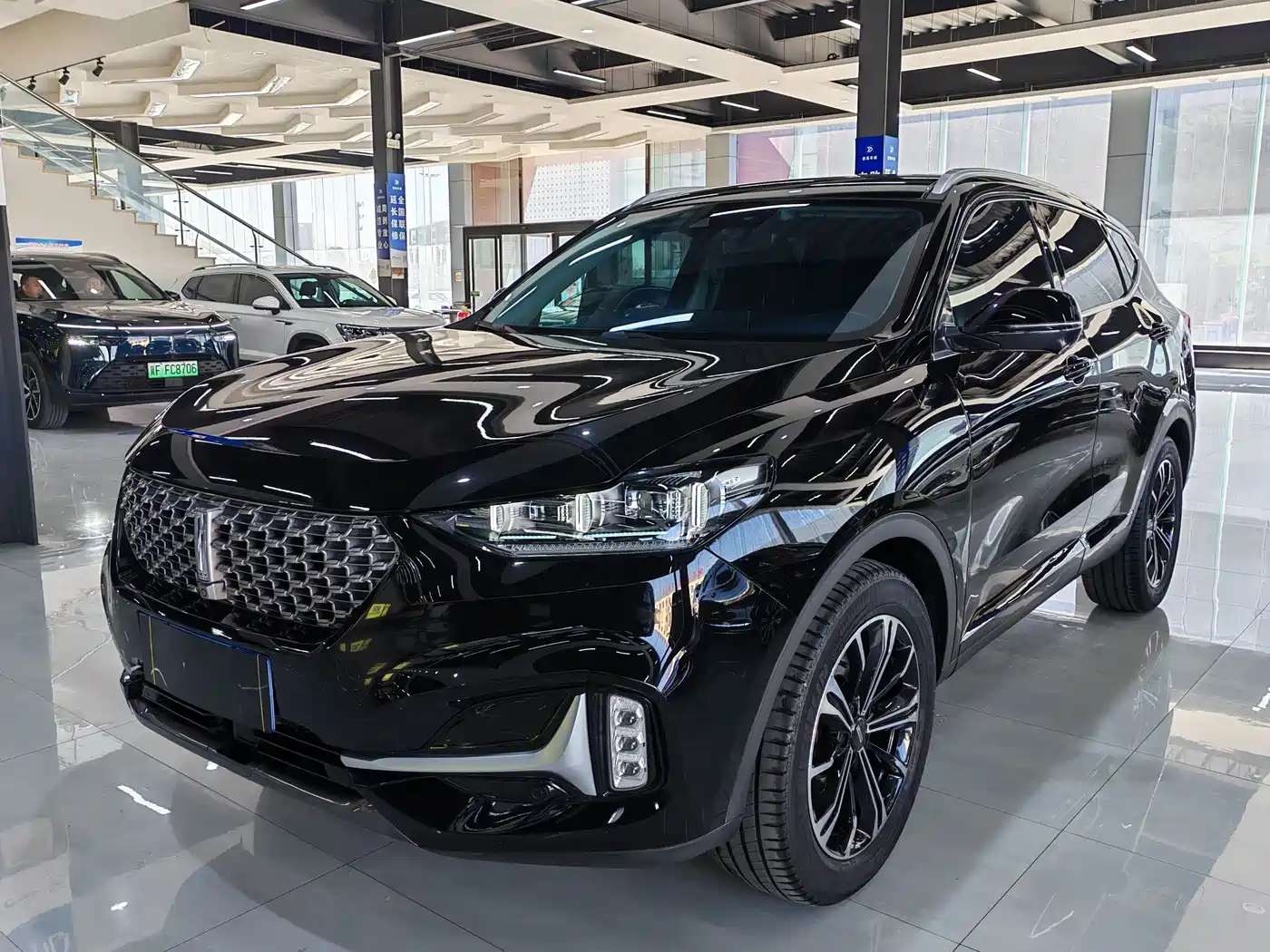 WEI PAI WEI BRAND VV6