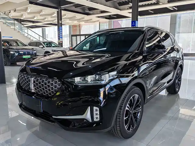 WEI PAI WEI BRAND VV6