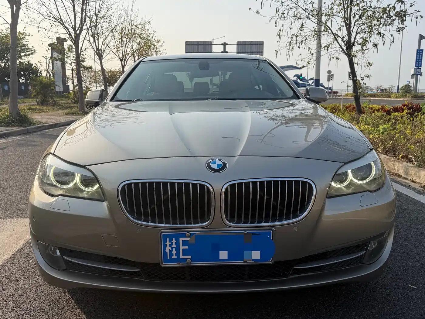 BMW 5 Series 2012 523Li Luxury фото 2
