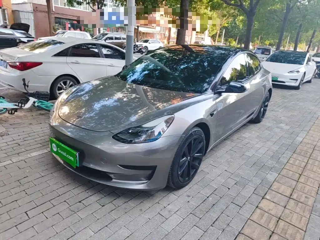Tesla Model 3 2021