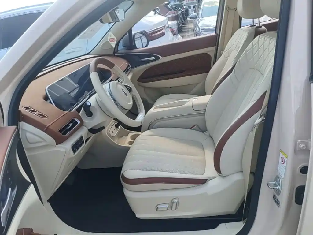 Ora Good Cat 2024 2023 401km Standard Range Premium LFP