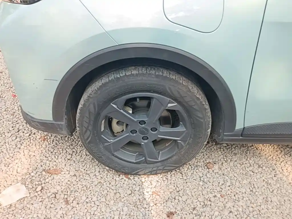 Photo 23 - Geely Geometry E Firefly