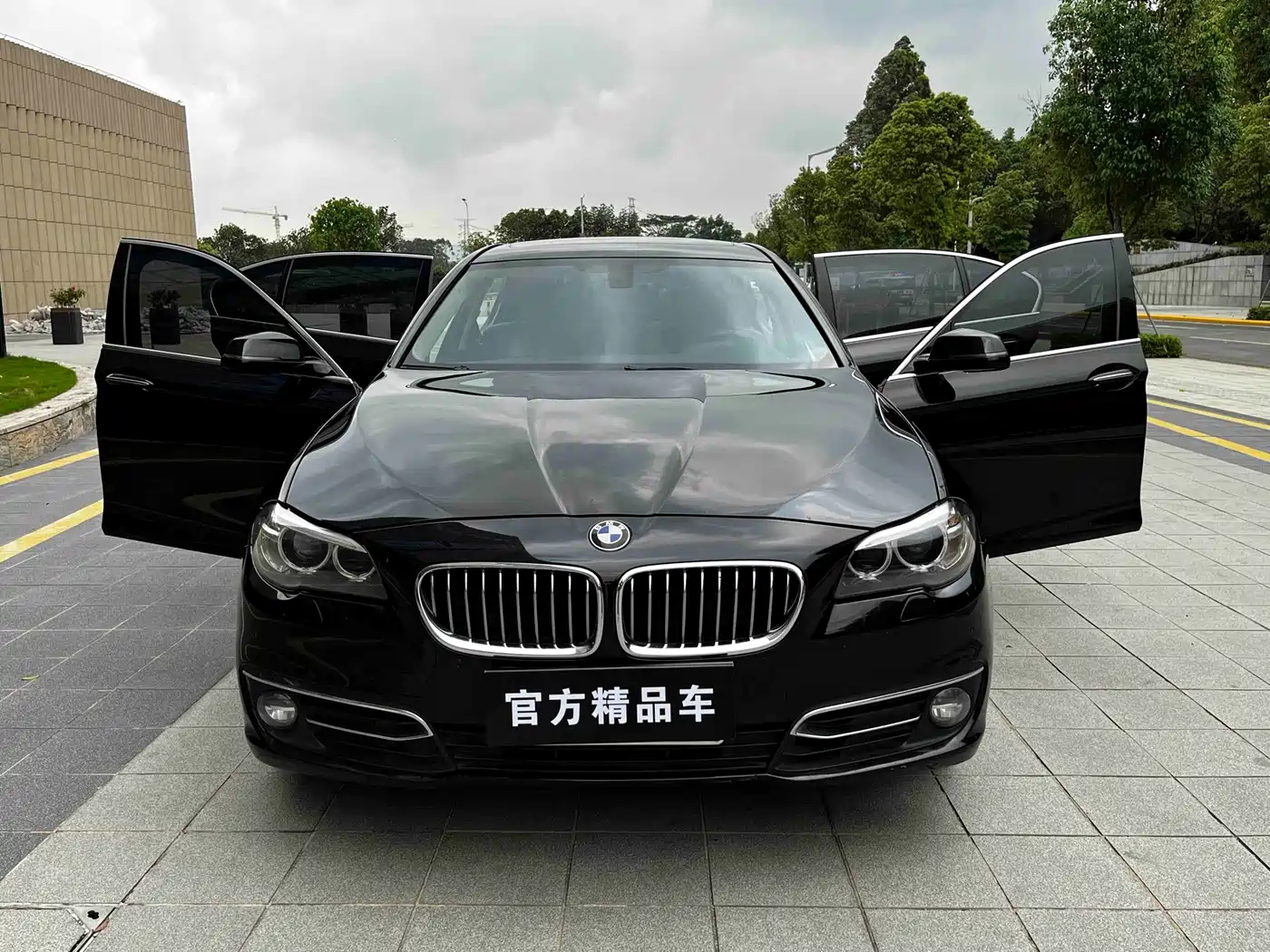 BMW 5 Series 2014 525Li Luxury Design Package фото 18