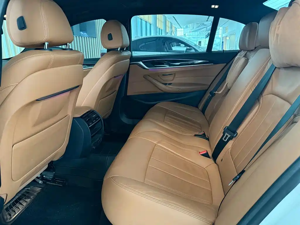 BMW 5 Series 2020 530Li Leading M Sport Package фото 8