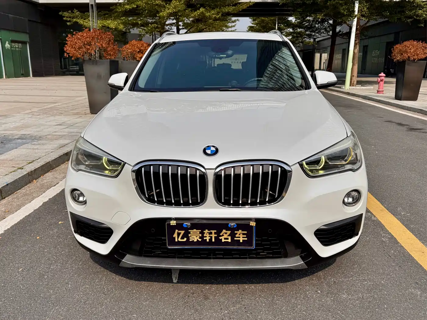 BMW X1 2016 sDrive18Li Premium Model фото 2
